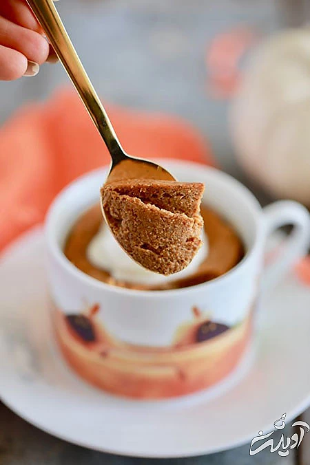 انواع دستورالعمل‌های آشپزی در ماگ برای آنهایی که مایکروفر دارند